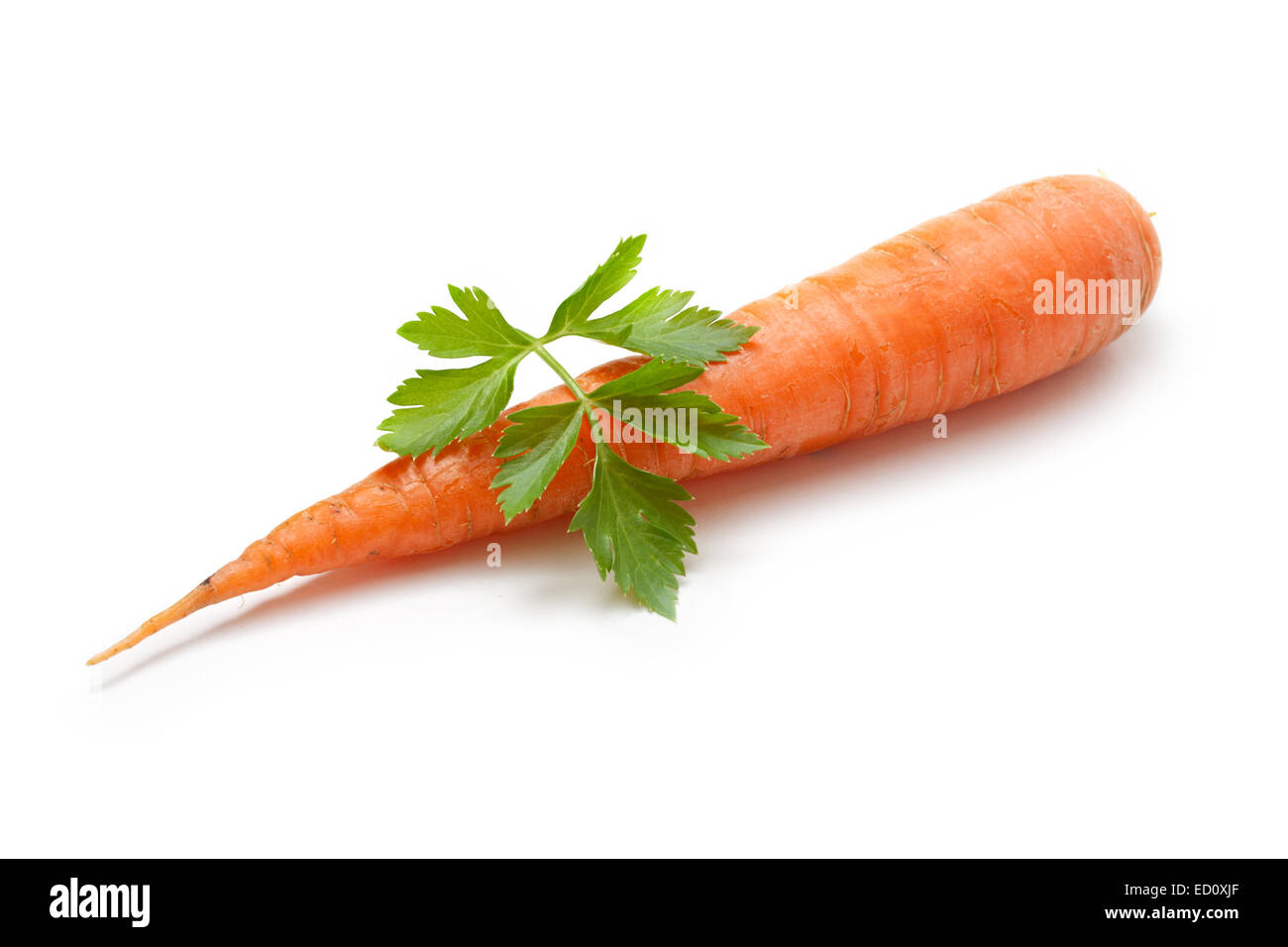 La carotte et le persil isolé sur fond blanc Banque D'Images
