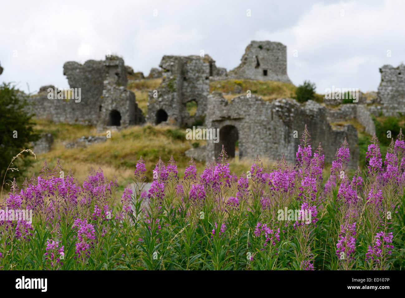 Rocher de dunamase château fort médiéval forteresse laois leinster dun monument de la société RM L'Irlande Banque D'Images