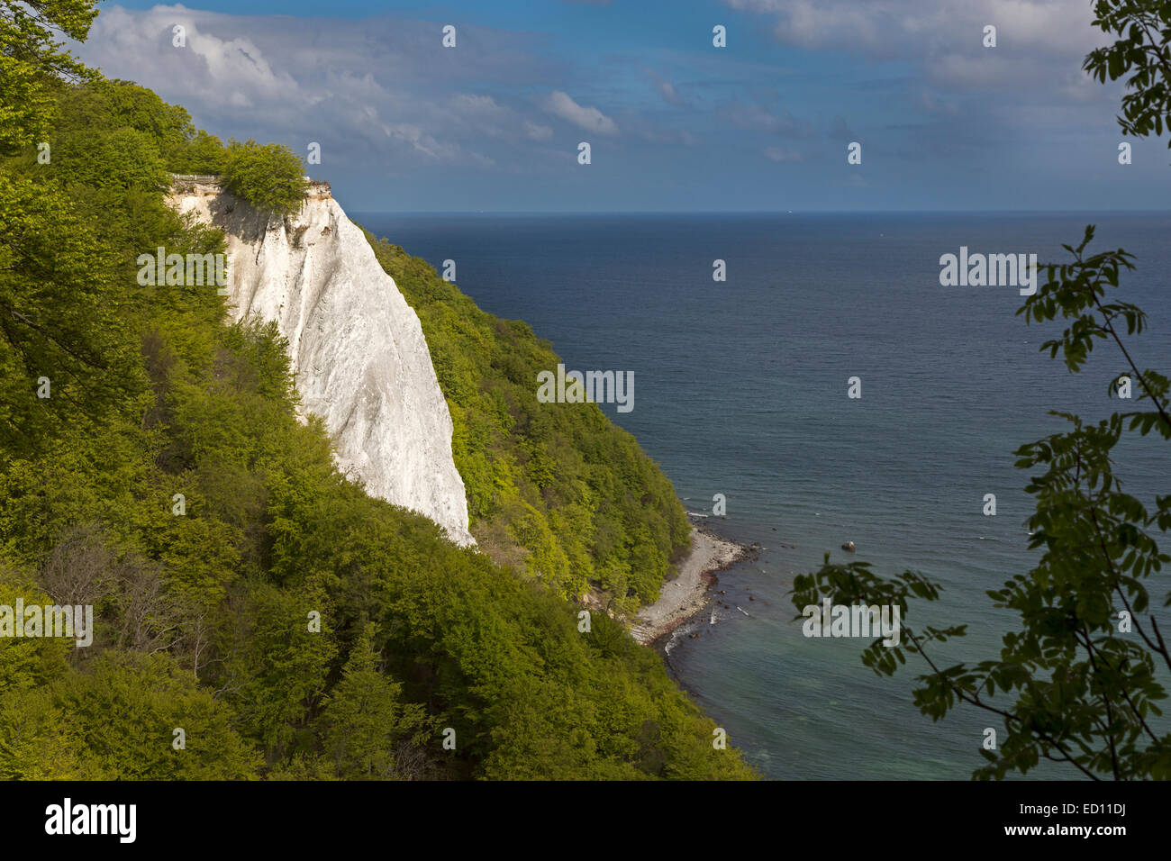 Königsstuhl, Président du Roi, falaises de craie à l'automne, le Parc National de Jasmund, Rügen, Mecklembourg-Poméranie-Occidentale, Allemagne, Europe Banque D'Images