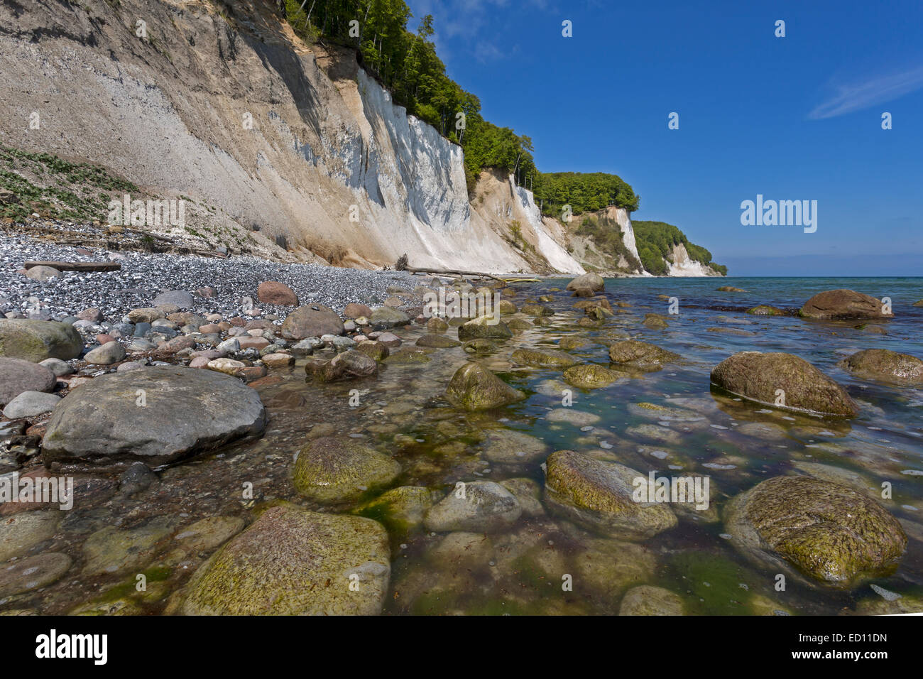 Côte escarpée avec des falaises de craie dans le Parc National de Jasmund, Rügen, Mecklembourg-Poméranie-Occidentale, Allemagne Banque D'Images