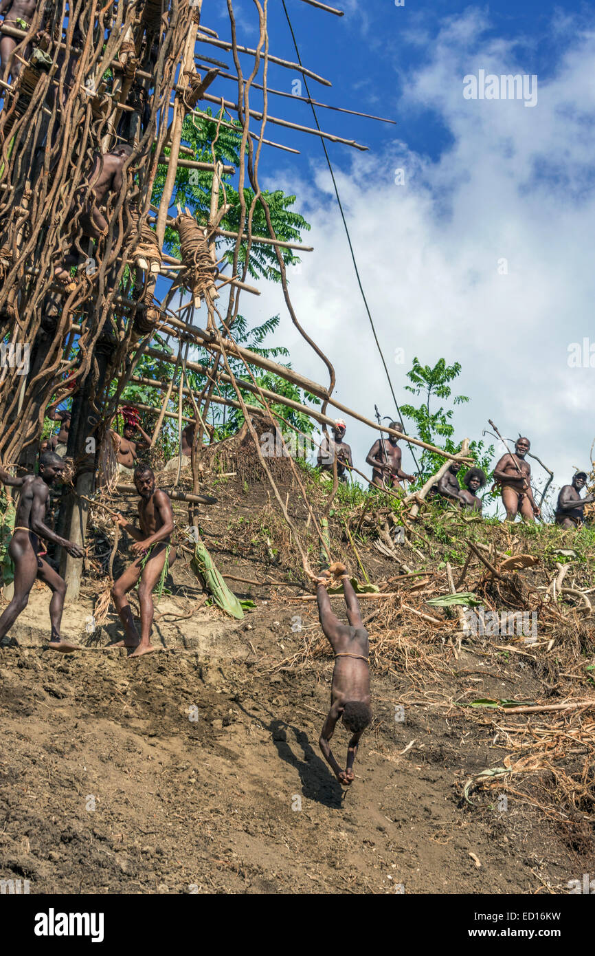Deuxième garçon plongée terre séquence # 6, l'île de Pentecôte, Vanuatu, Pacifique Sud Banque D'Images
