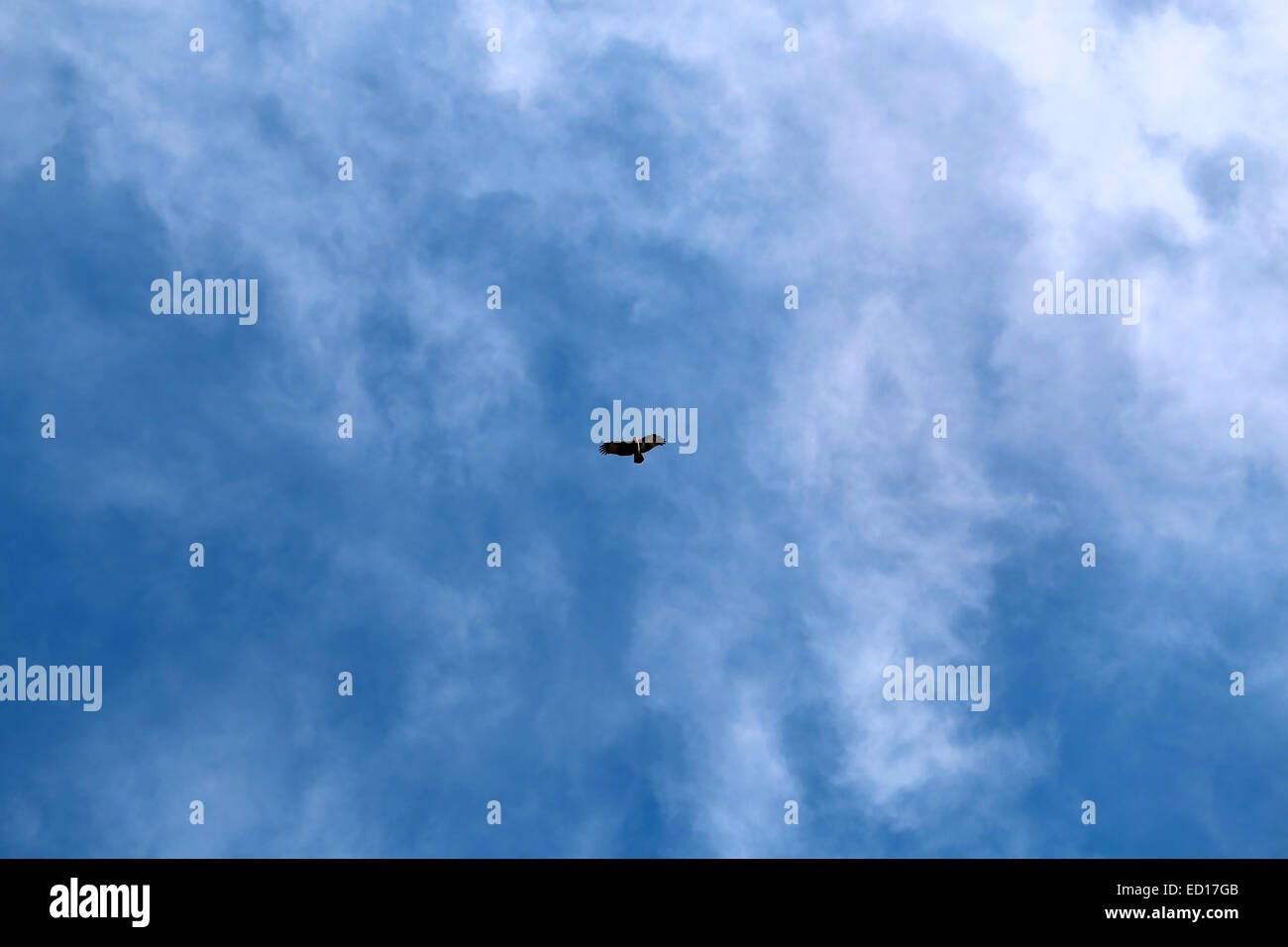 Arrière-plan lumineux ciel et nuages avec une silhouette d'un aigle Banque D'Images