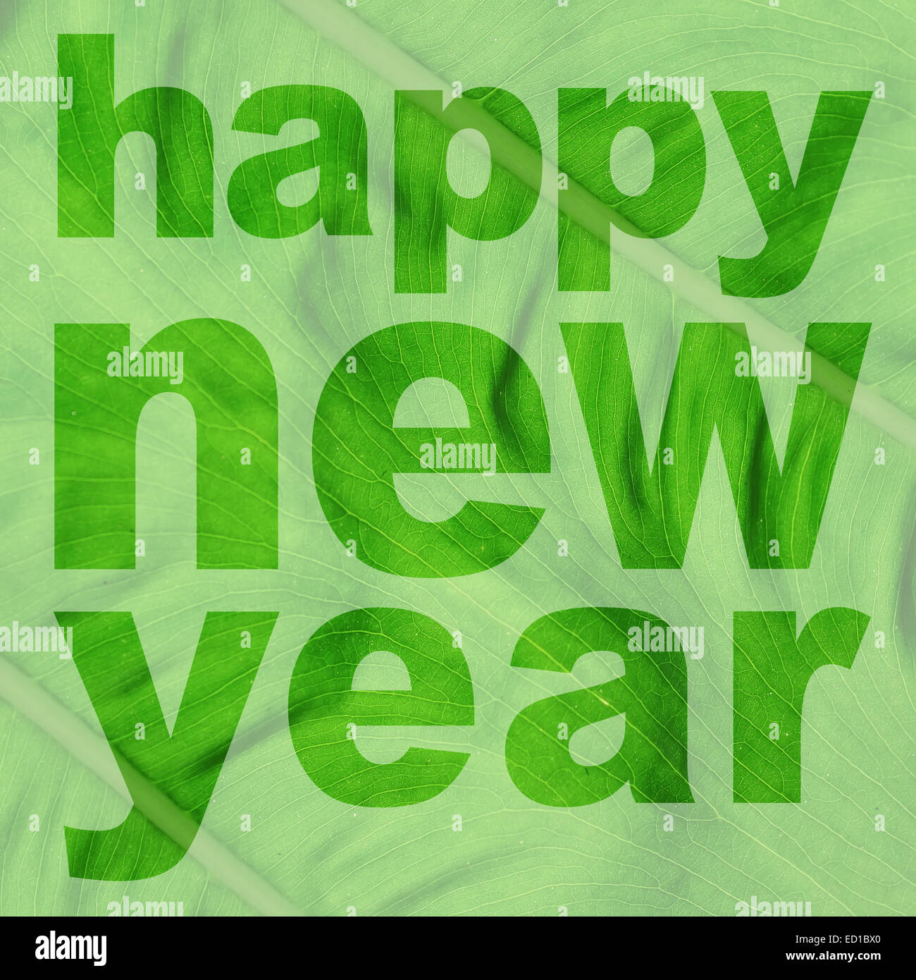 Mot bonne année faite de feuille verte photo Banque D'Images