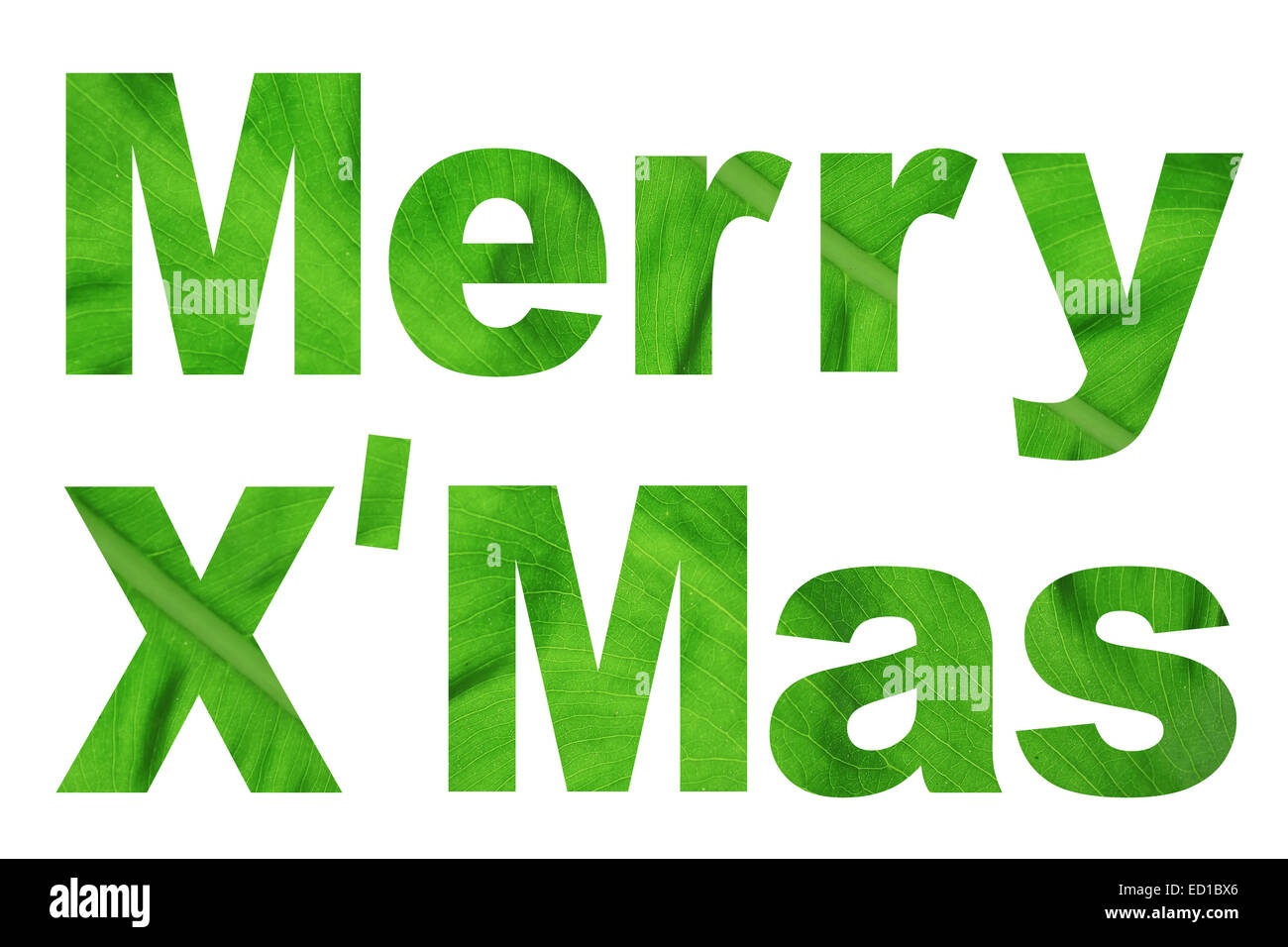 Mot Merry X'mas fait à partir de feuille verte photo sur fond blanc Banque D'Images
