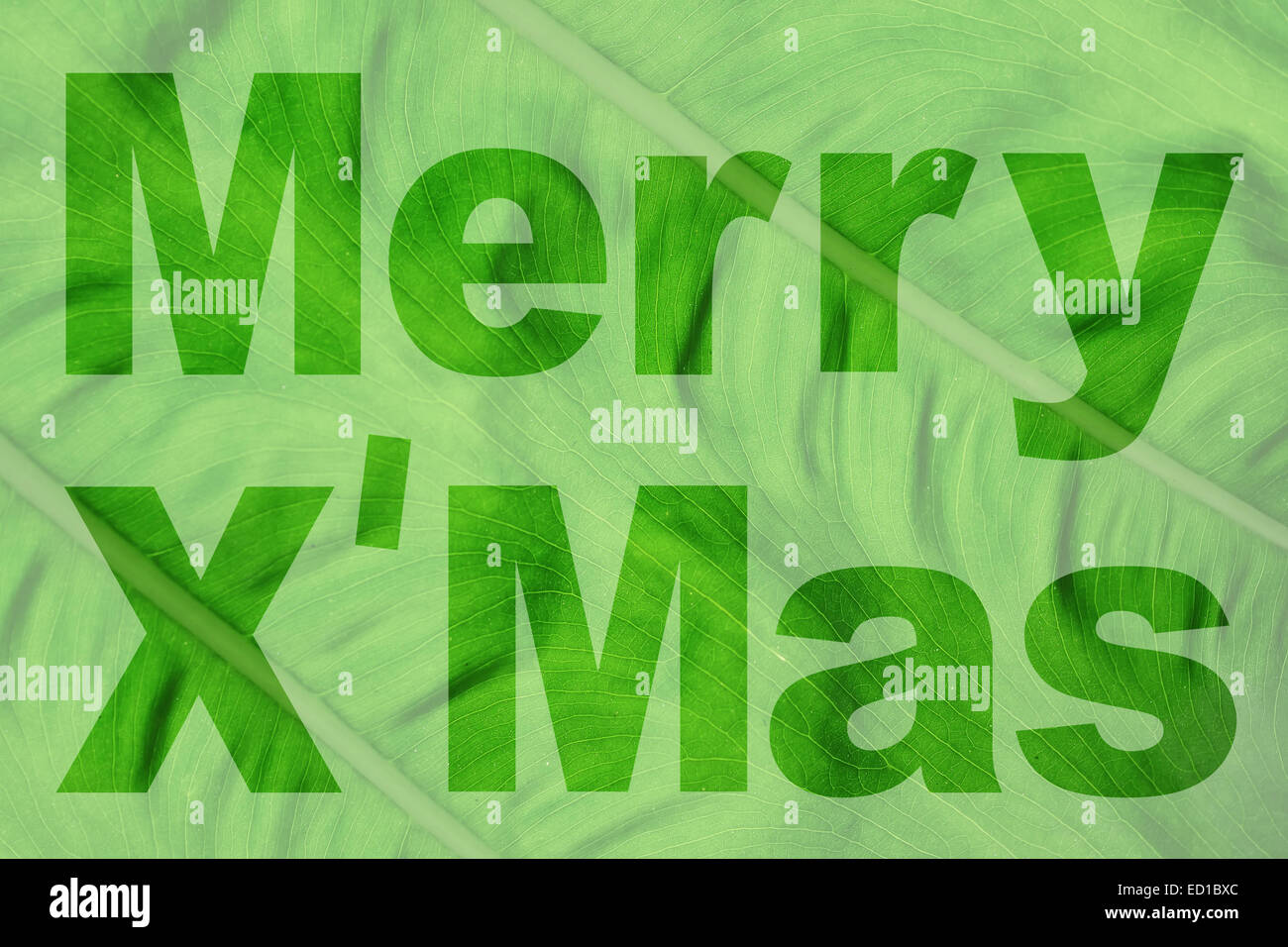 Mot Merry X'mas fait à partir de feuille verte photo Banque D'Images