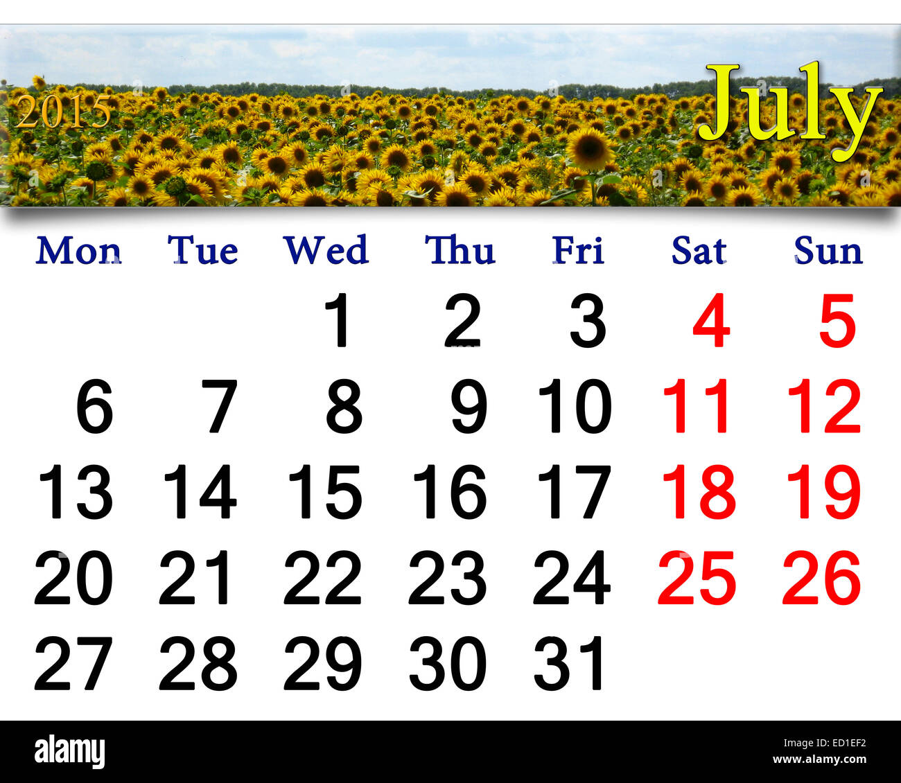 Calendrier pour Juillet de 2015 avec champ de tournesols jaunes Banque D'Images