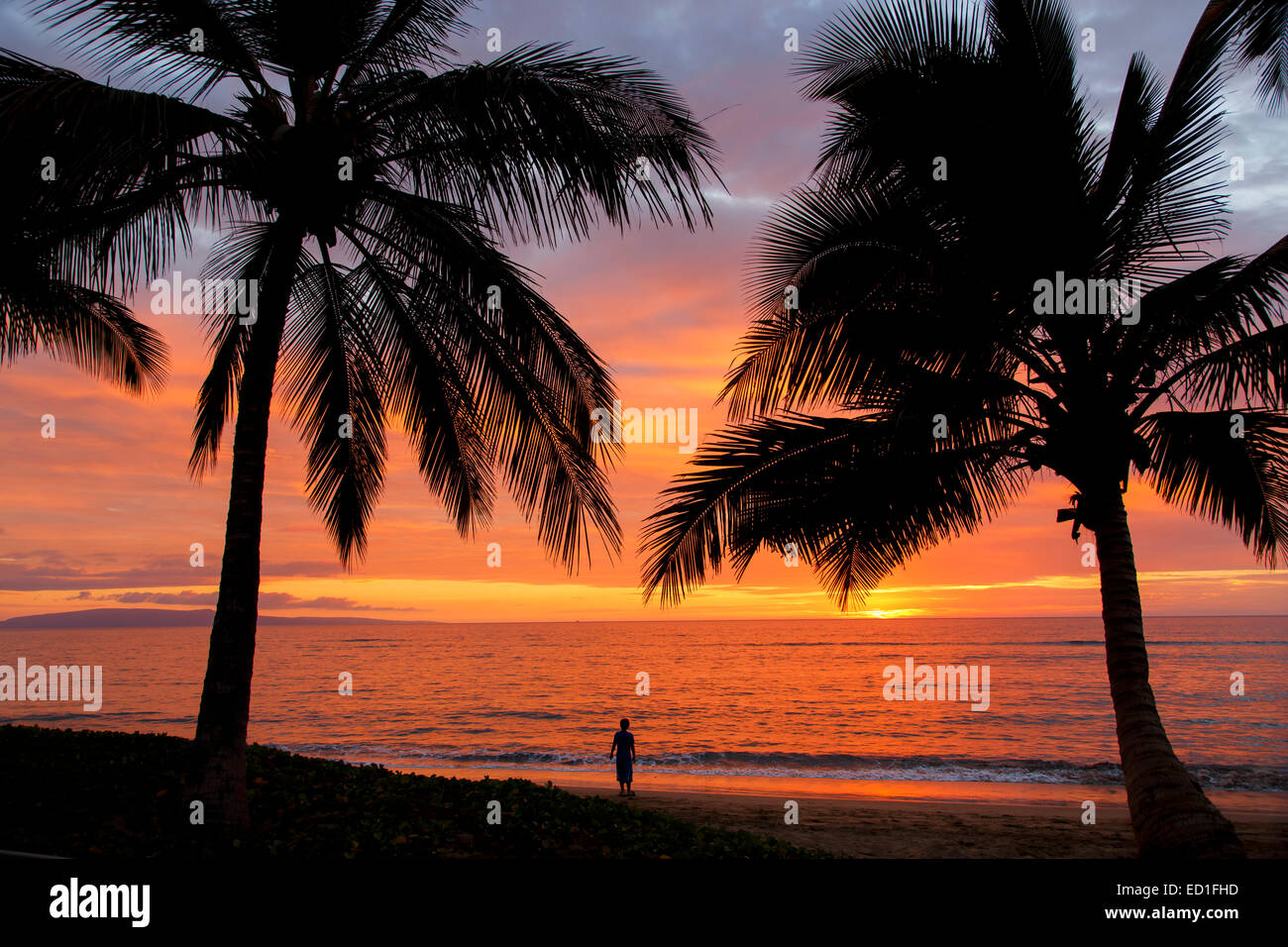 Coucher du soleil sur l'Ami Poina 'oe La'u Beach Park, Maui, Hawaii Banque D'Images