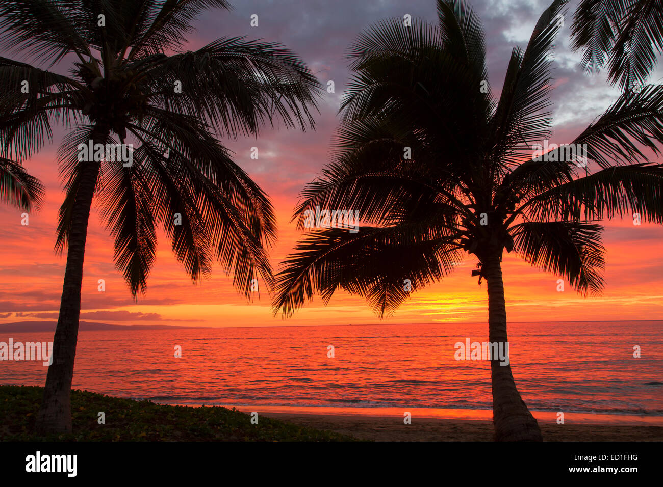 Coucher du soleil sur l'Ami Poina 'oe La'u Beach Park, Maui, Hawaii Banque D'Images