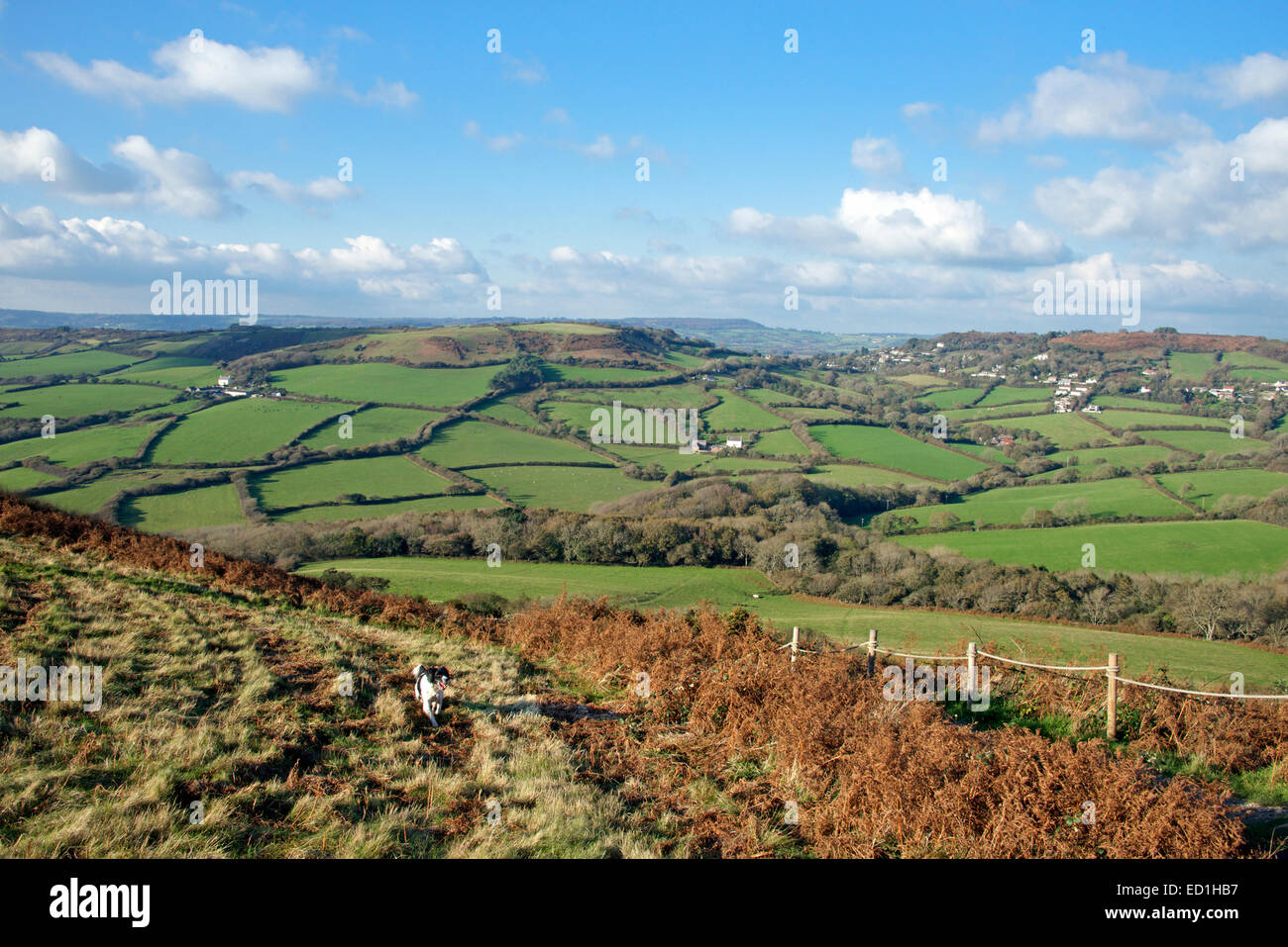 Paysage rural de l'est du Devon en Angleterre Banque D'Images