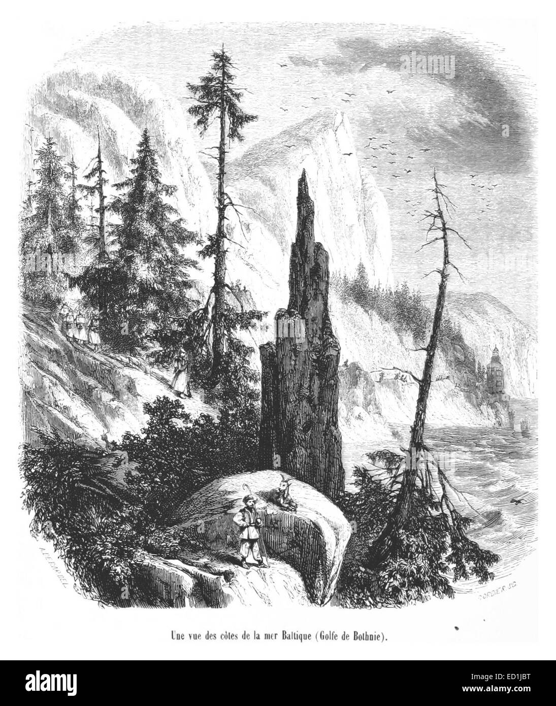 Cette illustration du XIXe siècle montre une vue de la côte de la mer Baltique, en particulier le golfe de Botnie, représentant le paysage et les caractéristiques maritimes de la région. Banque D'Images