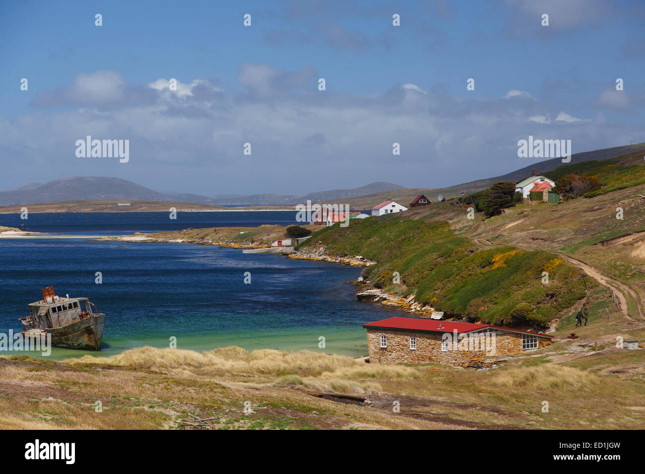 Nouvelle Île Conservation Trust, Nouvelle Île, Îles Falkland. Banque D'Images