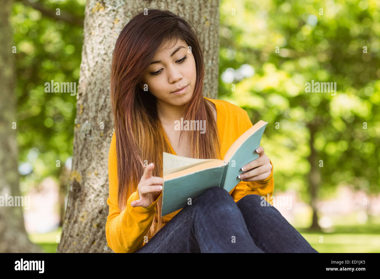 Female student reading book against tree trunk in park Banque D'Images