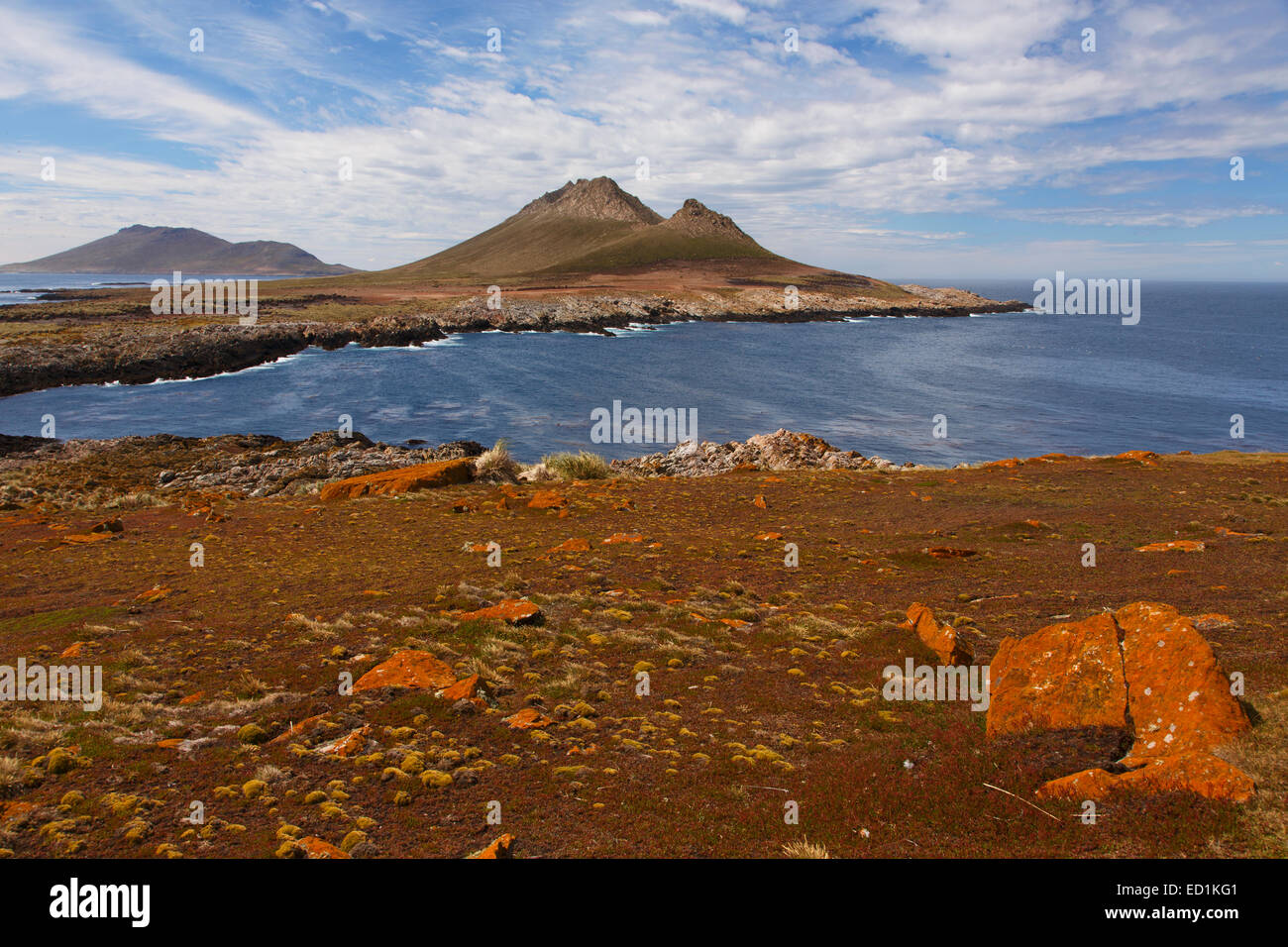 Steeple Jason, îles Falkland. Banque D'Images