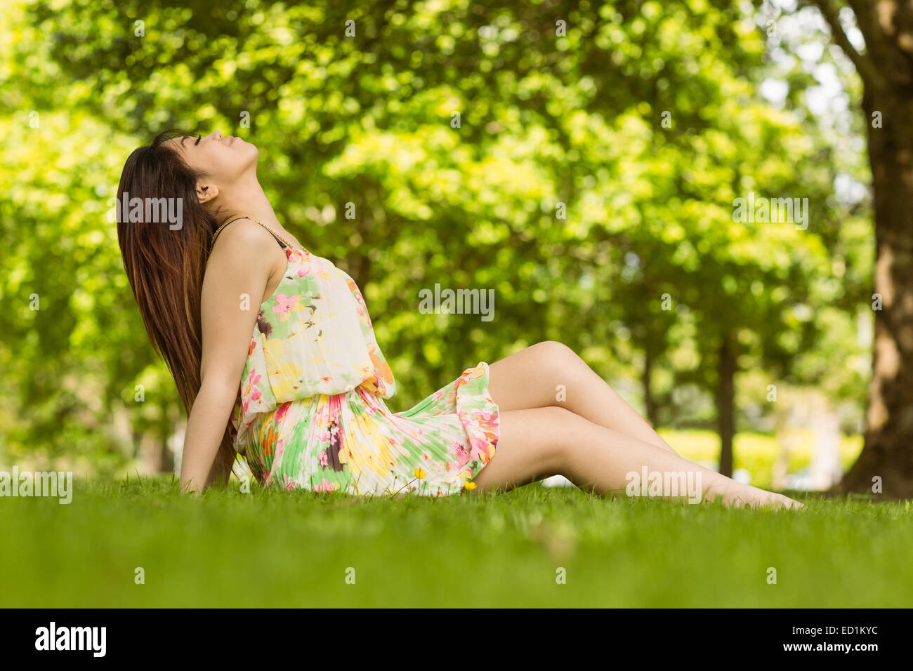 Jeune femme détendue sitting on grass at park Banque D'Images