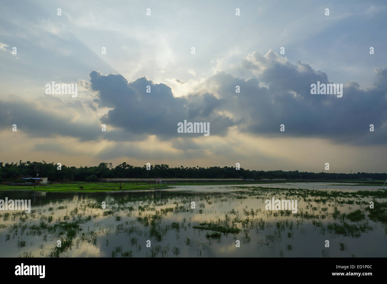 Savar, Bangladesh Banque D'Images