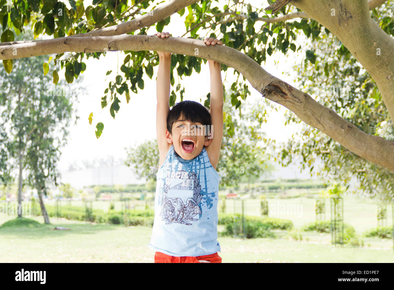 1 enfants indiens boy park Hanging Tree Trunk Banque D'Images