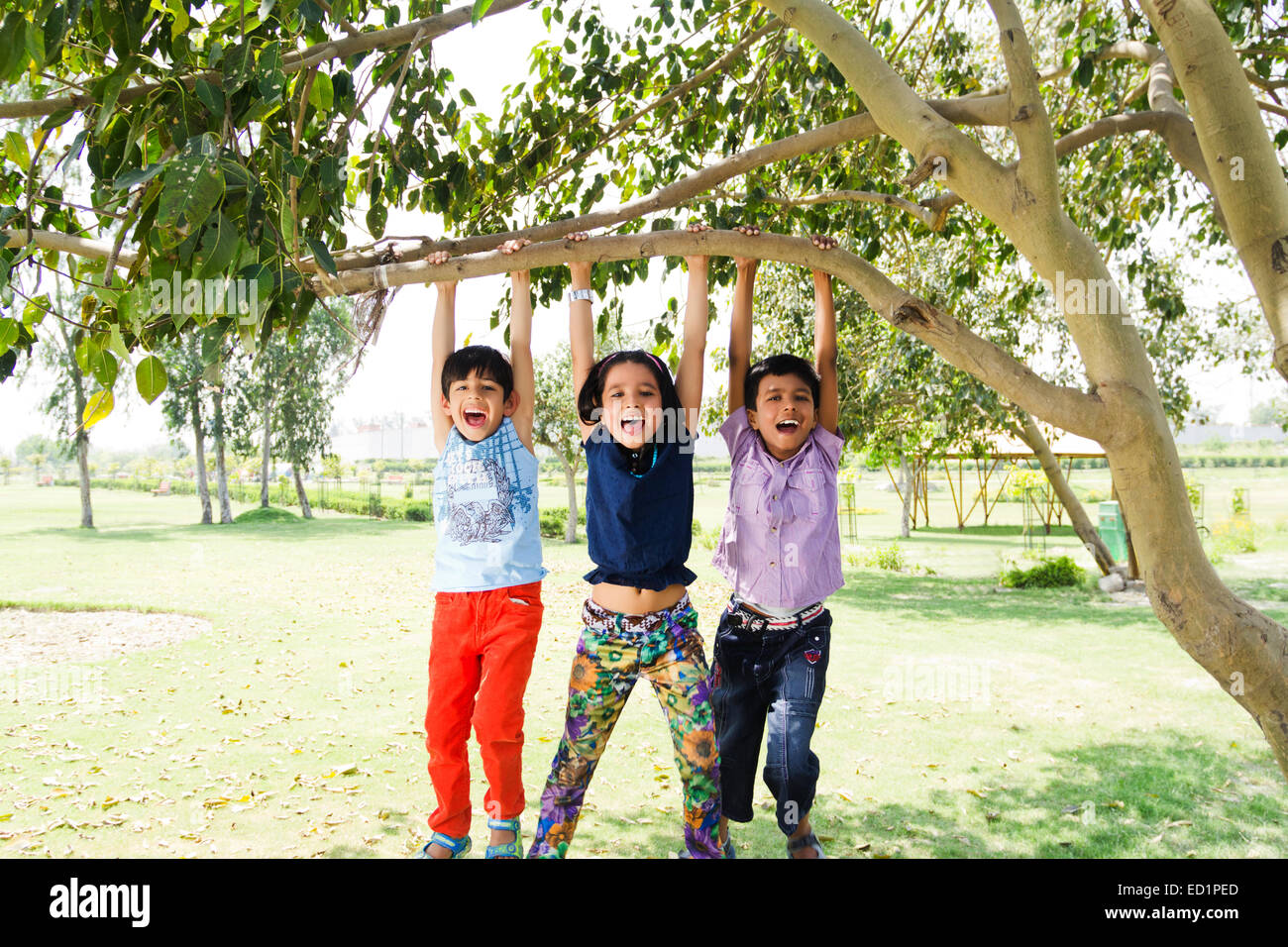 Les enfants indiens park Hanging Tree Trunk Banque D'Images