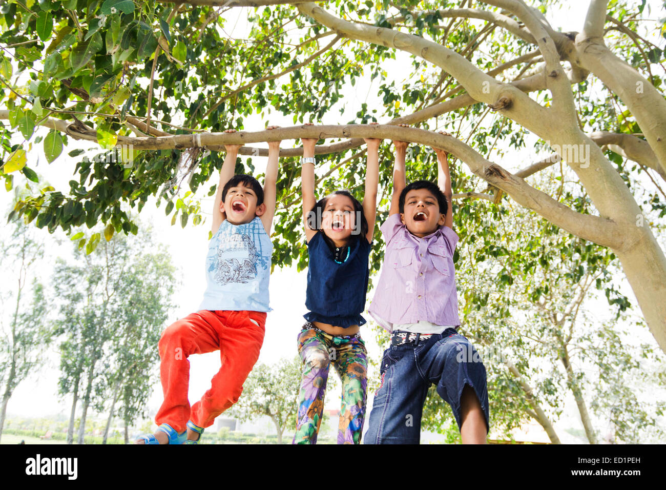 Les enfants indiens park Hanging Tree Trunk Banque D'Images