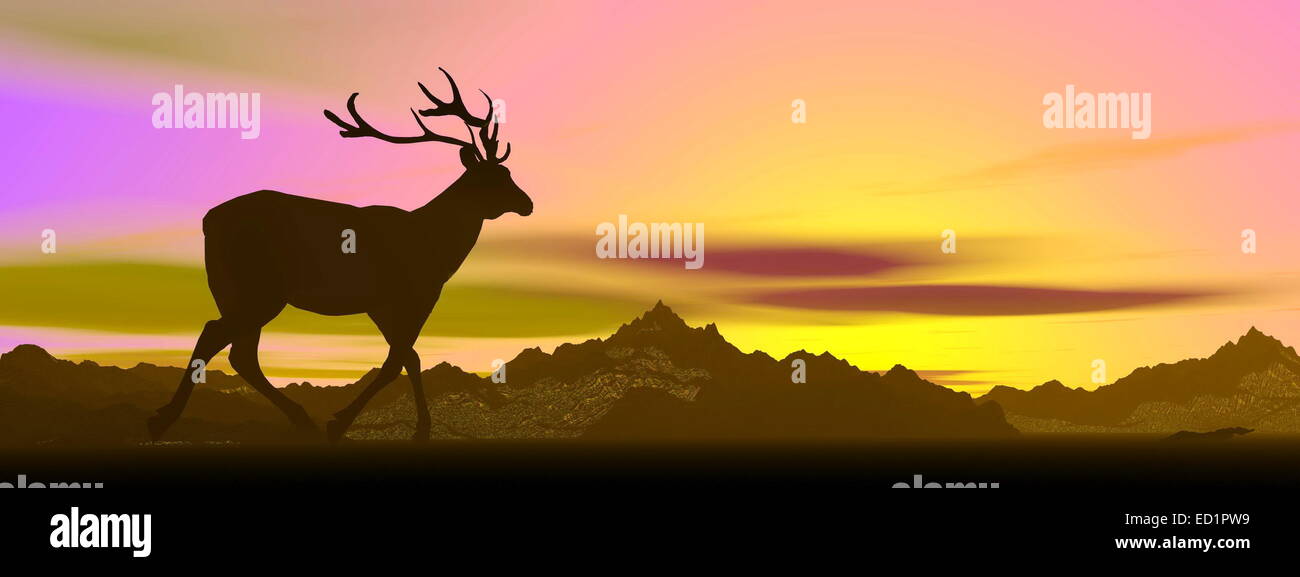 Ombre d'un wapiti standing looking at montagnes par le coucher du soleil Banque D'Images