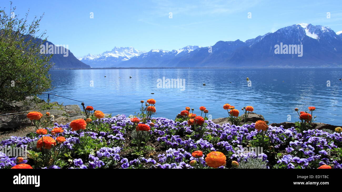 Printemps coloré des fleurs au lac de Genève, Montreux, Suisse. Voir les montagnes des Alpes en arrière-plan. Banque D'Images