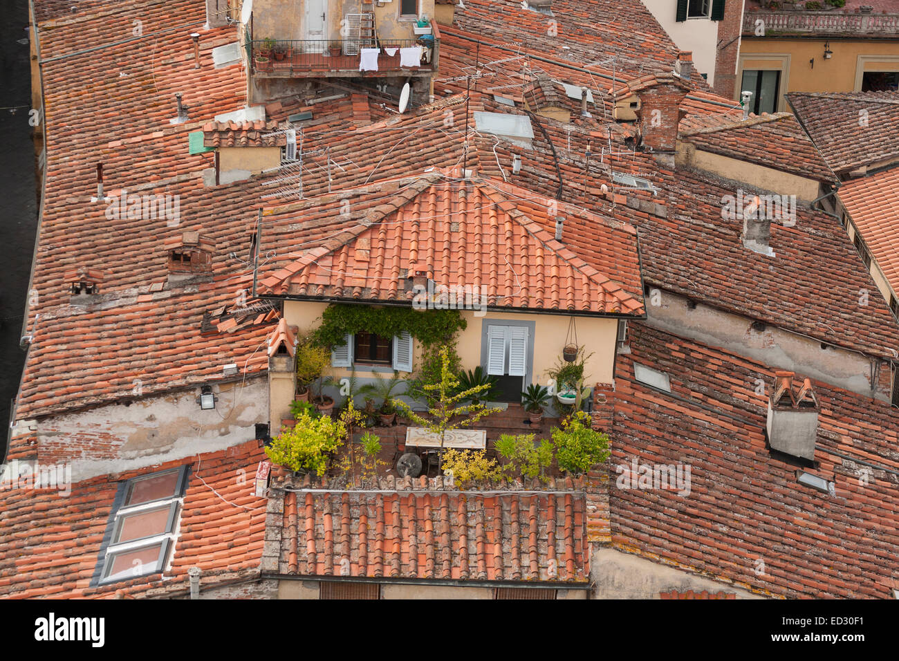 Tuile de Lucques en Toscane, maison d'habitation à l'Italie. Banque D'Images
