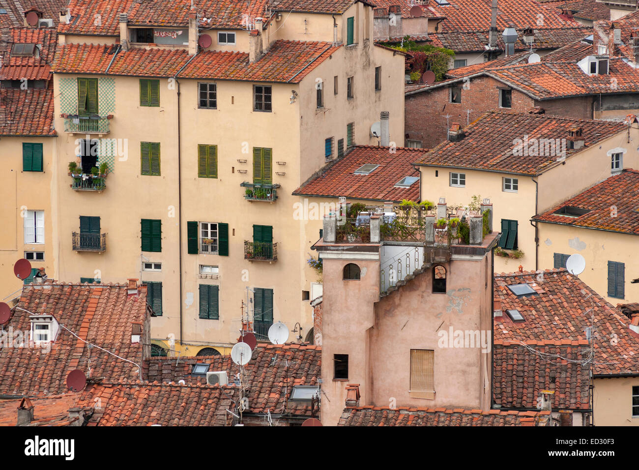 Maisons d'habitation de Lucques en Toscane, Italie Banque D'Images