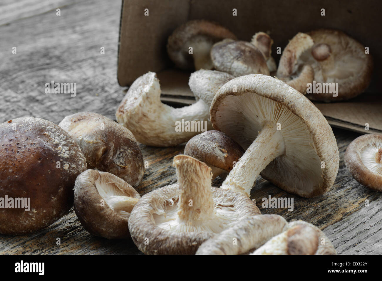 Champignons Shitake dans l'emballage en carton sur fond de bois Banque D'Images
