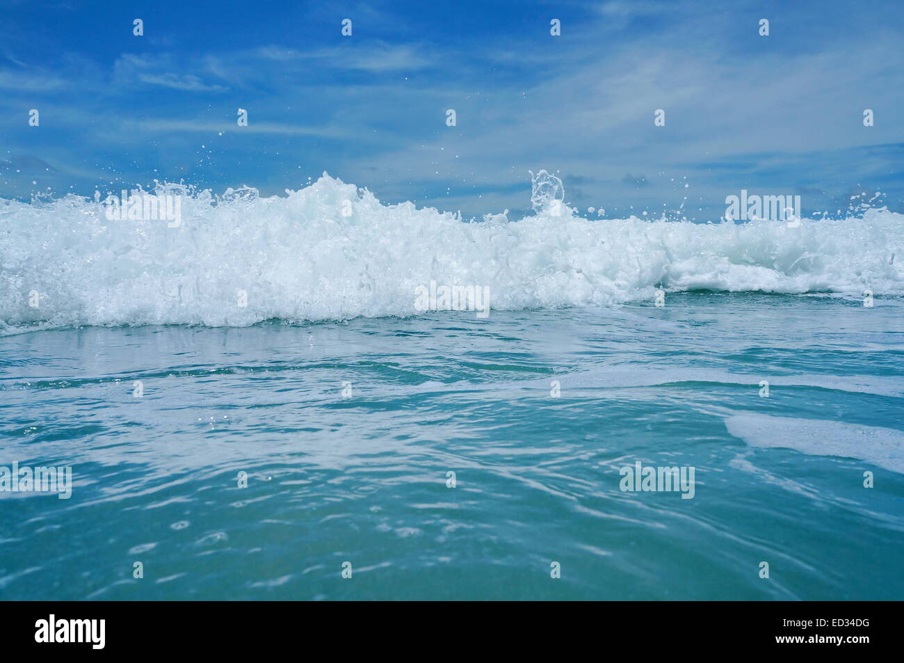Close up sur une vague déferlante vu de la surface de la mer Banque D'Images
