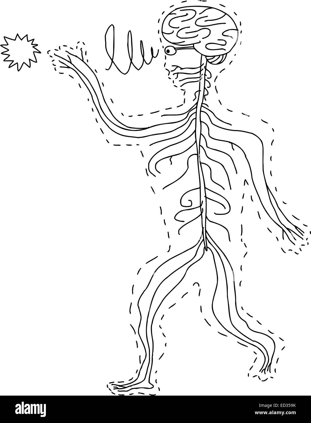 Abstract hand drawn cartoon des organes sensoriels Banque D'Images