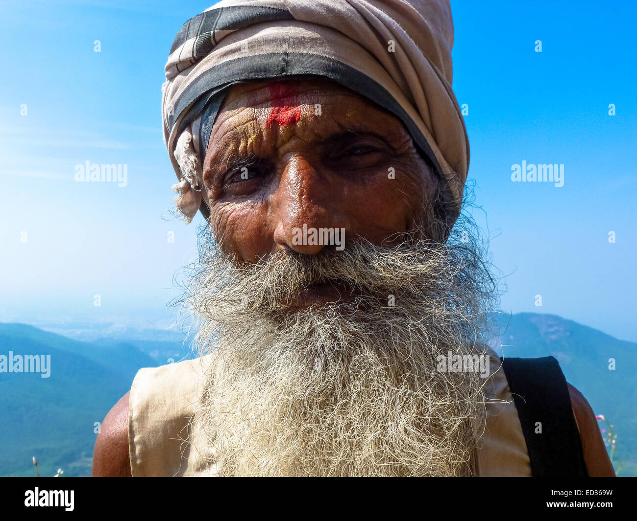 Portrait de sadhu dans Gujarat Inde Banque D'Images
