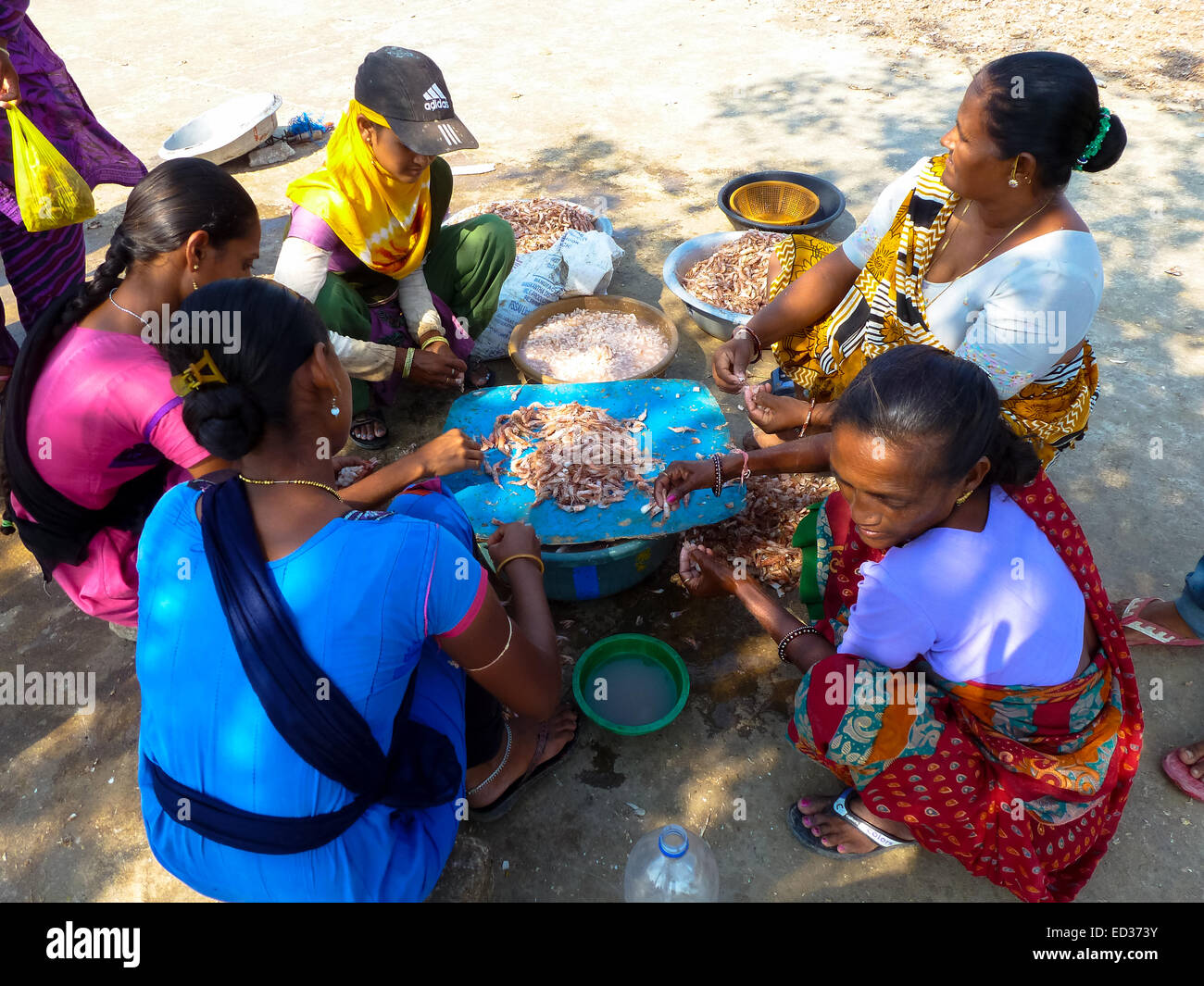 Les femmes dans la rue, à l'épluchage des crevettes diu en Inde Banque D'Images