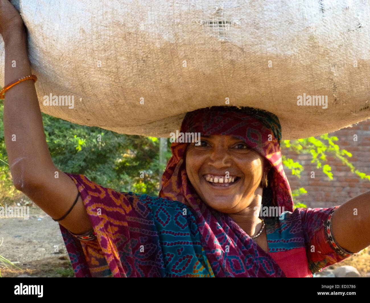 Portrait de femme dans le Gujarat, en Inde Banque D'Images
