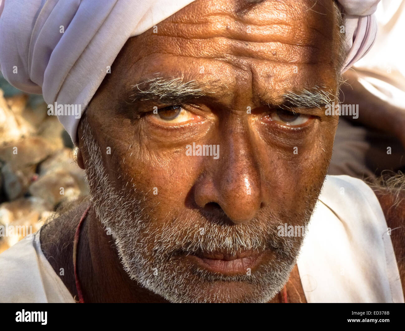 Portrait de l'homme au Gujarat, Inde Banque D'Images