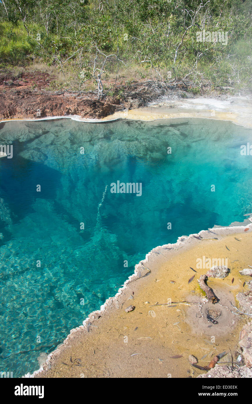 En Mélanésie, la Papouasie-Nouvelle-Guinée, Fergusson, l'Île Del Del Hot Springs. Sources chaudes volcaniques, la vapeur naturelle piscine bleue. Banque D'Images