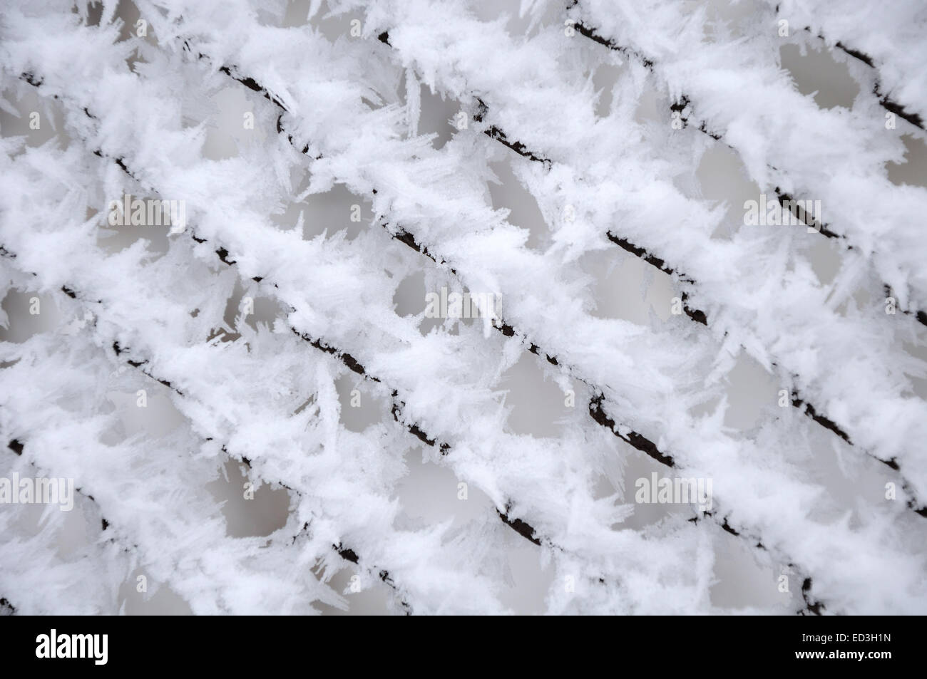 Motif d'hiver créé par le givre sur la compensation Banque D'Images