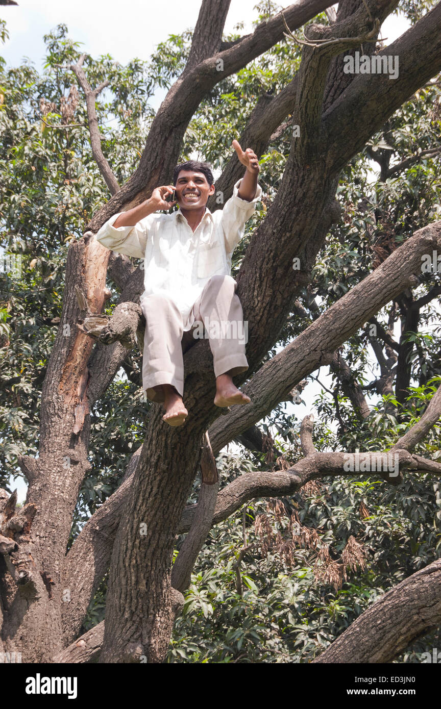 1 rural indien homme assis tronc de l'arbre et parler phone Banque D'Images