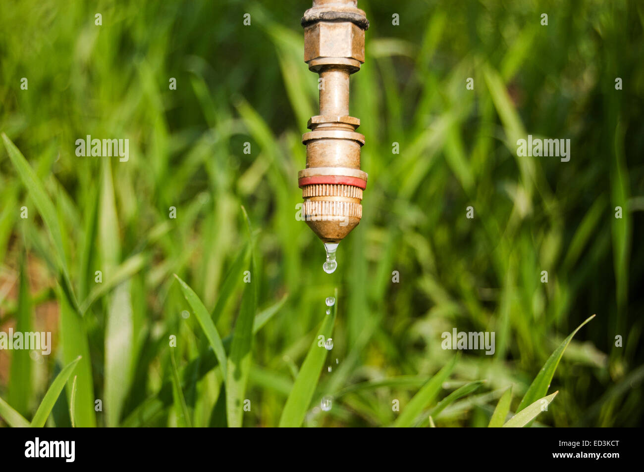 Village rural Farm Field Water Pipeline personne n Banque D'Images