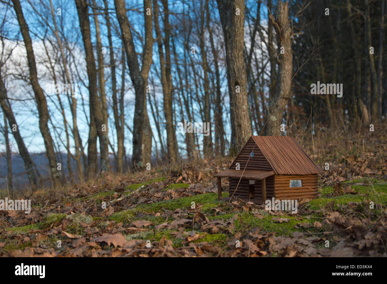 Petite maison en bois en automne, portrait Banque D'Images