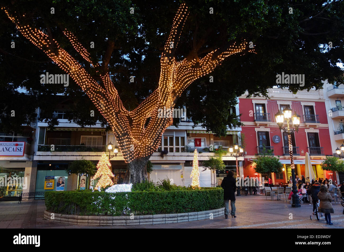 Les lumières de Noël autour de la décoration arbre, Fuengirola, Malaga, Espagne. Banque D'Images