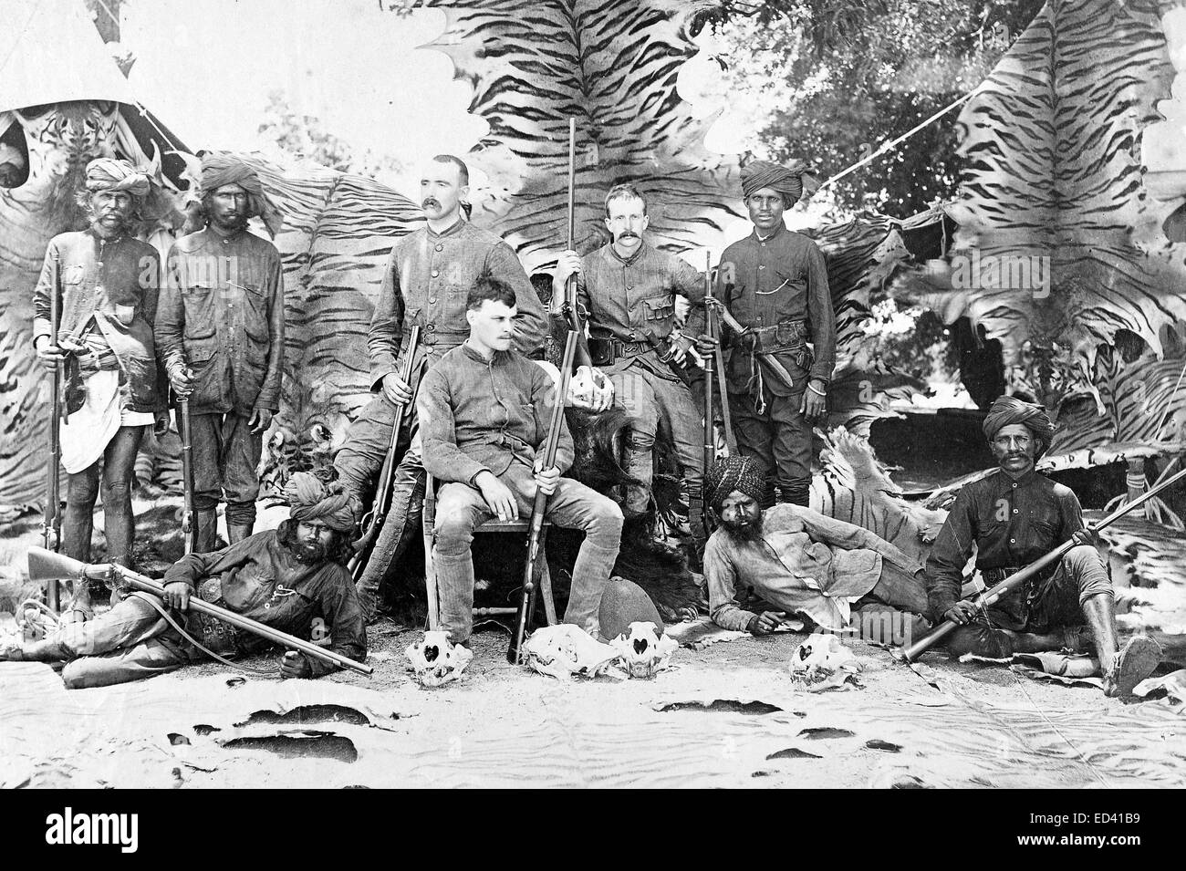 La chasse des tigres en Inde pendant les années 1880, les chasseurs posent avec leurs courriers de peaux Banque D'Images