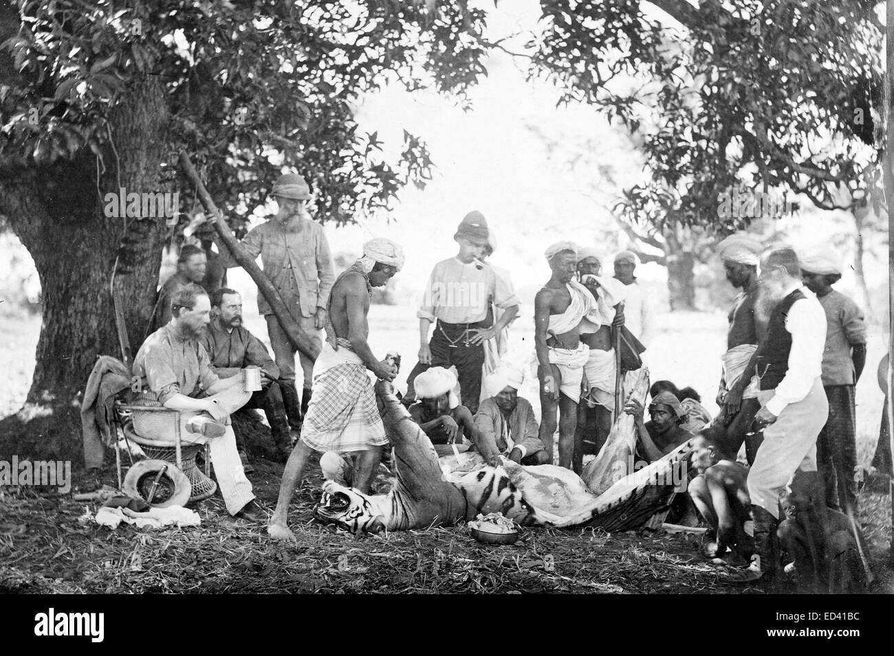 La chasse des tigres en Inde au cours des années 1880 Banque D'Images