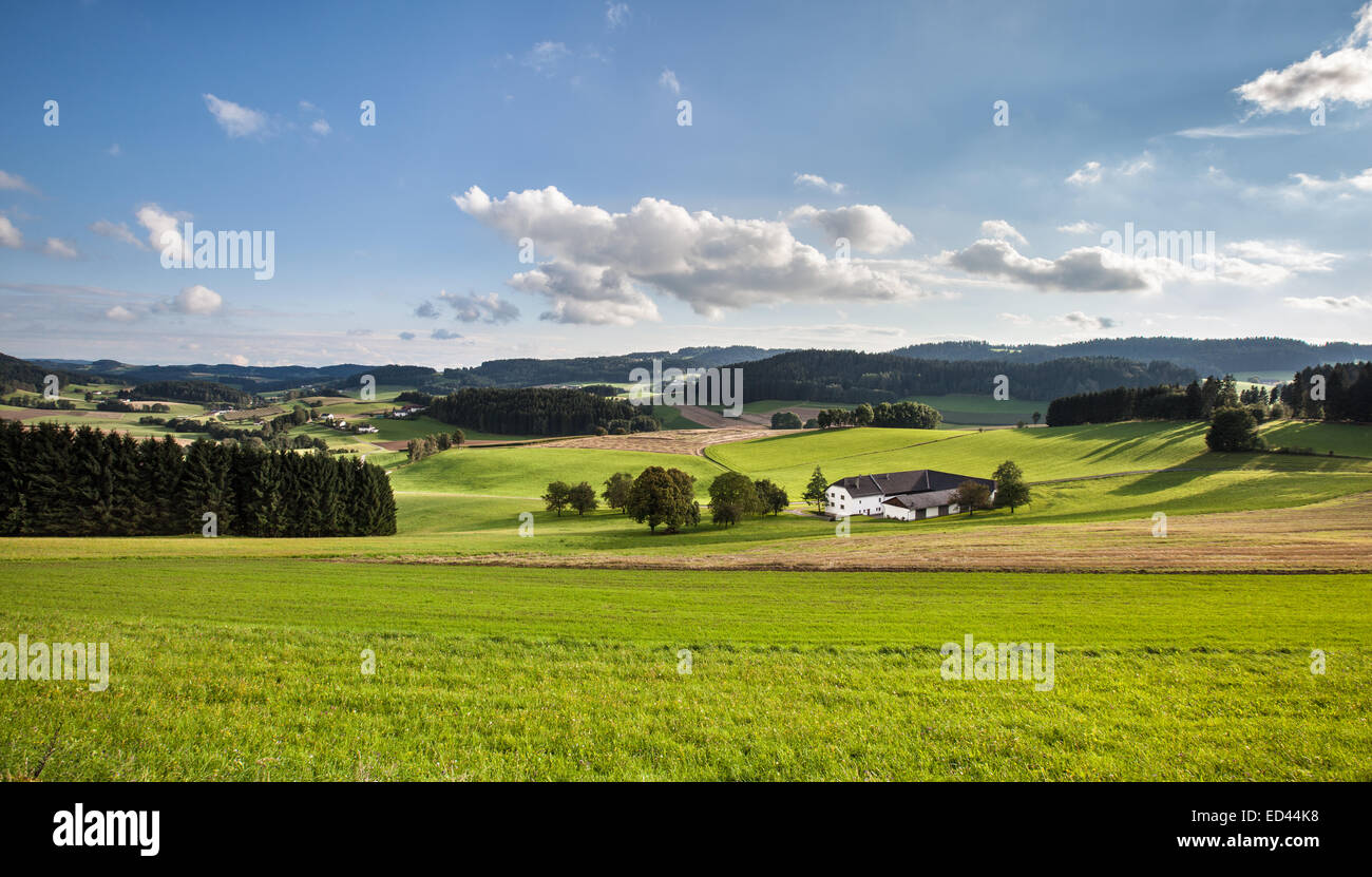 Paysage rural avec des champs et des maisons. Banque D'Images