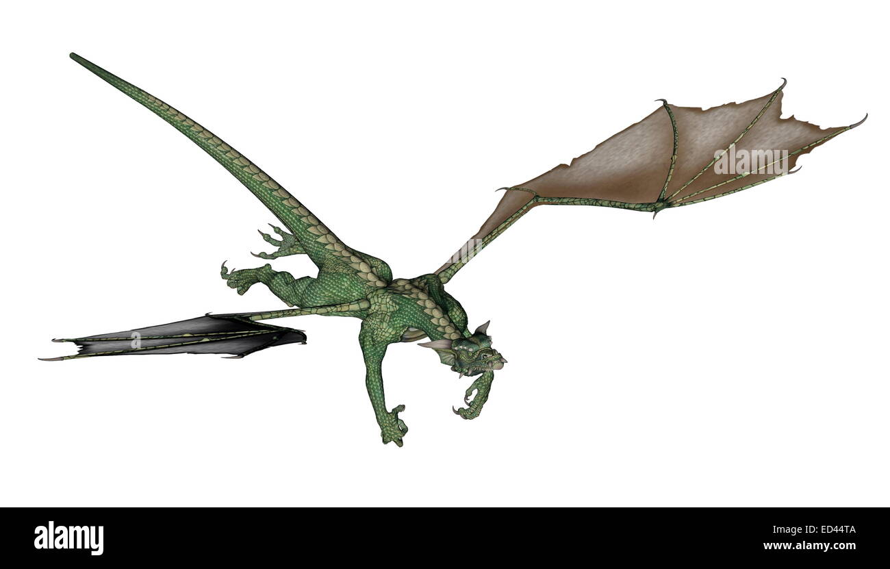 Green dragon volant ailes grandes ouvertes à fond blanc Banque D'Images