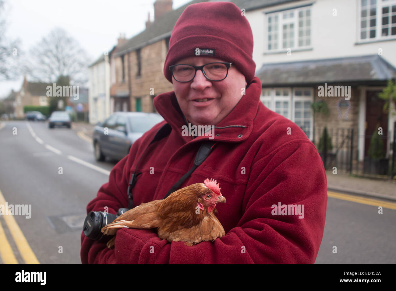 Ce poulet perdu a décidé de traverser la route dans le centre-ville d'Oakham et était en danger d'être blessés par la circulation. Le malheureux oiseau a été repéré par M. John Kennedy, un résident d'Oakham, qui a sauté dans la route pour sauver l'oiseau. John est maintenant l'espoir de trouver son propriétaire. Banque D'Images