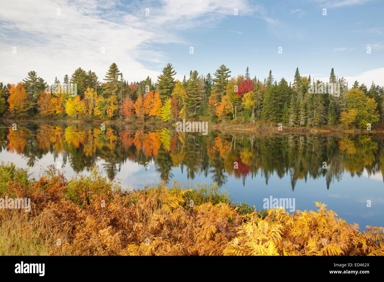 Pontook réservoir sur la rivière Androscoggin, le long de la Route 16 dans la région de Dummer, New Hampshire USA pendant les mois d'automne Banque D'Images