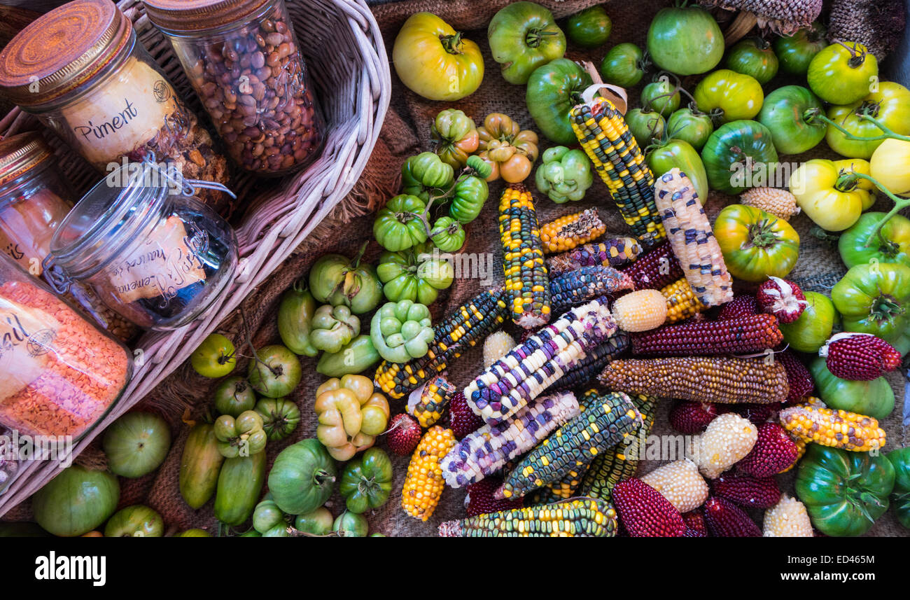 Bols de légumes secs dans des bocaux affiché avec tomates vertes et multi colored corn on the cob le chiffon sac Banque D'Images