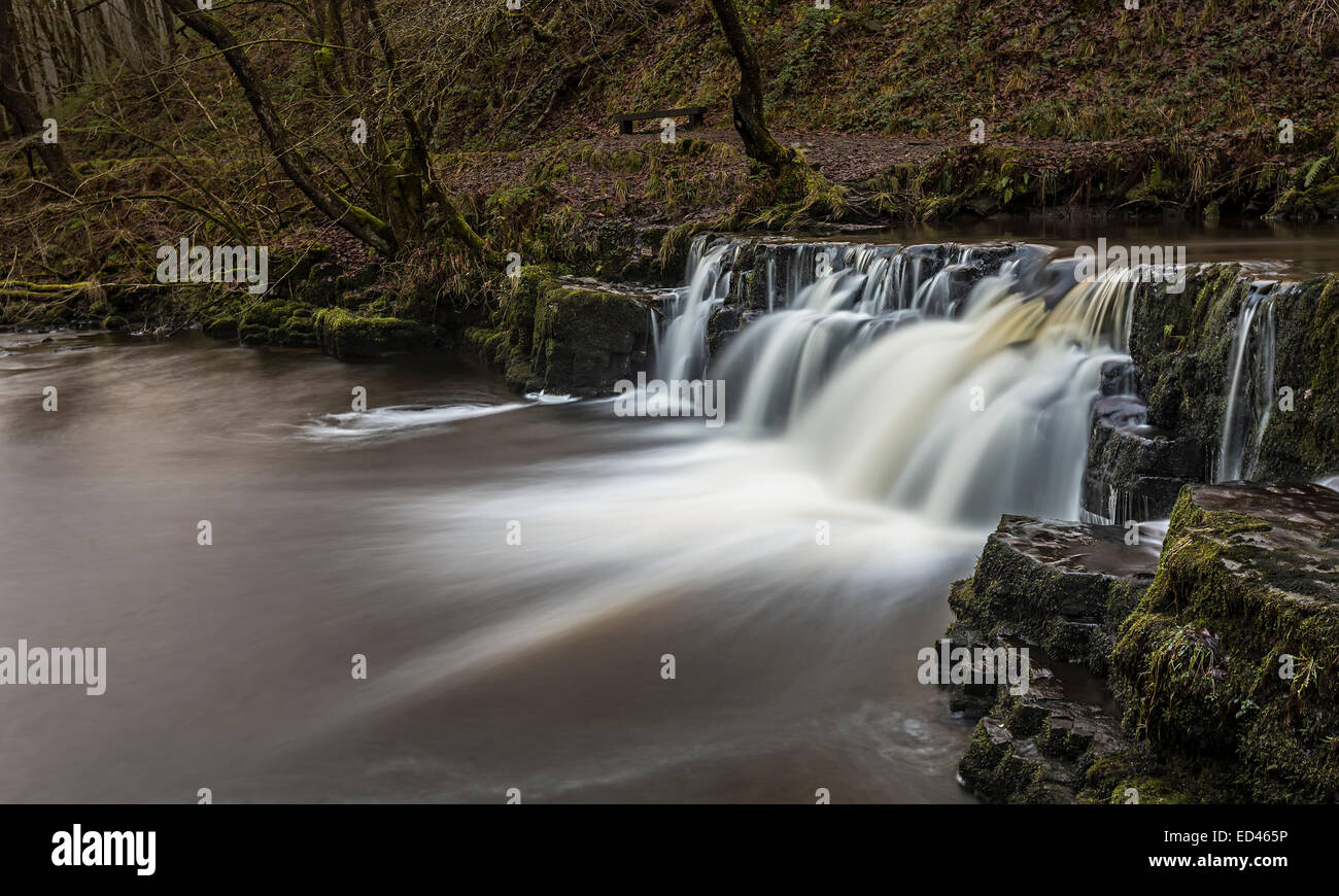 Cascade sur les chutes d'eau à pied, Pontneddfechan, Pays de Galles, Royaume-Uni Banque D'Images