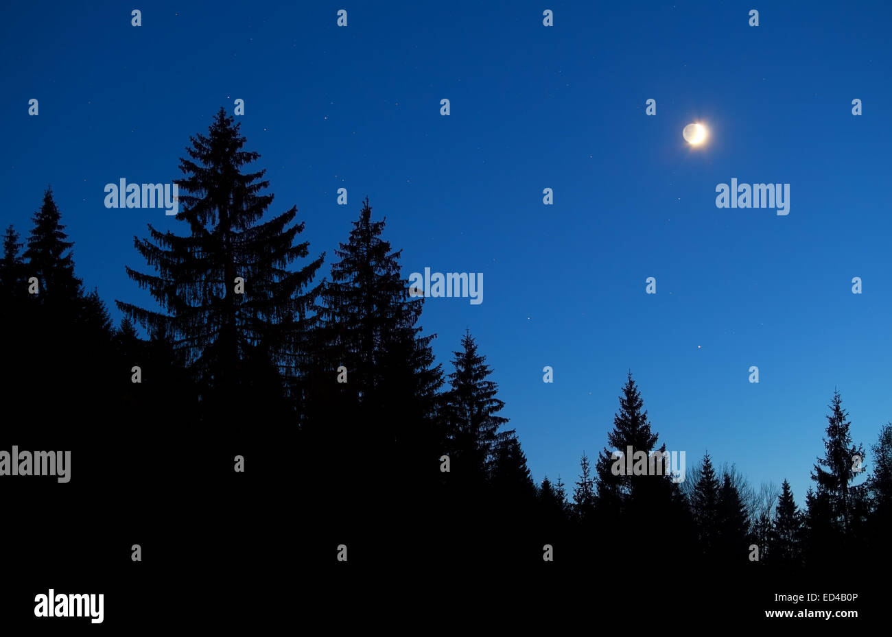 Lune et étoiles ciel au-dessus de la silhouette de la forêt la nuit, Alpes Banque D'Images