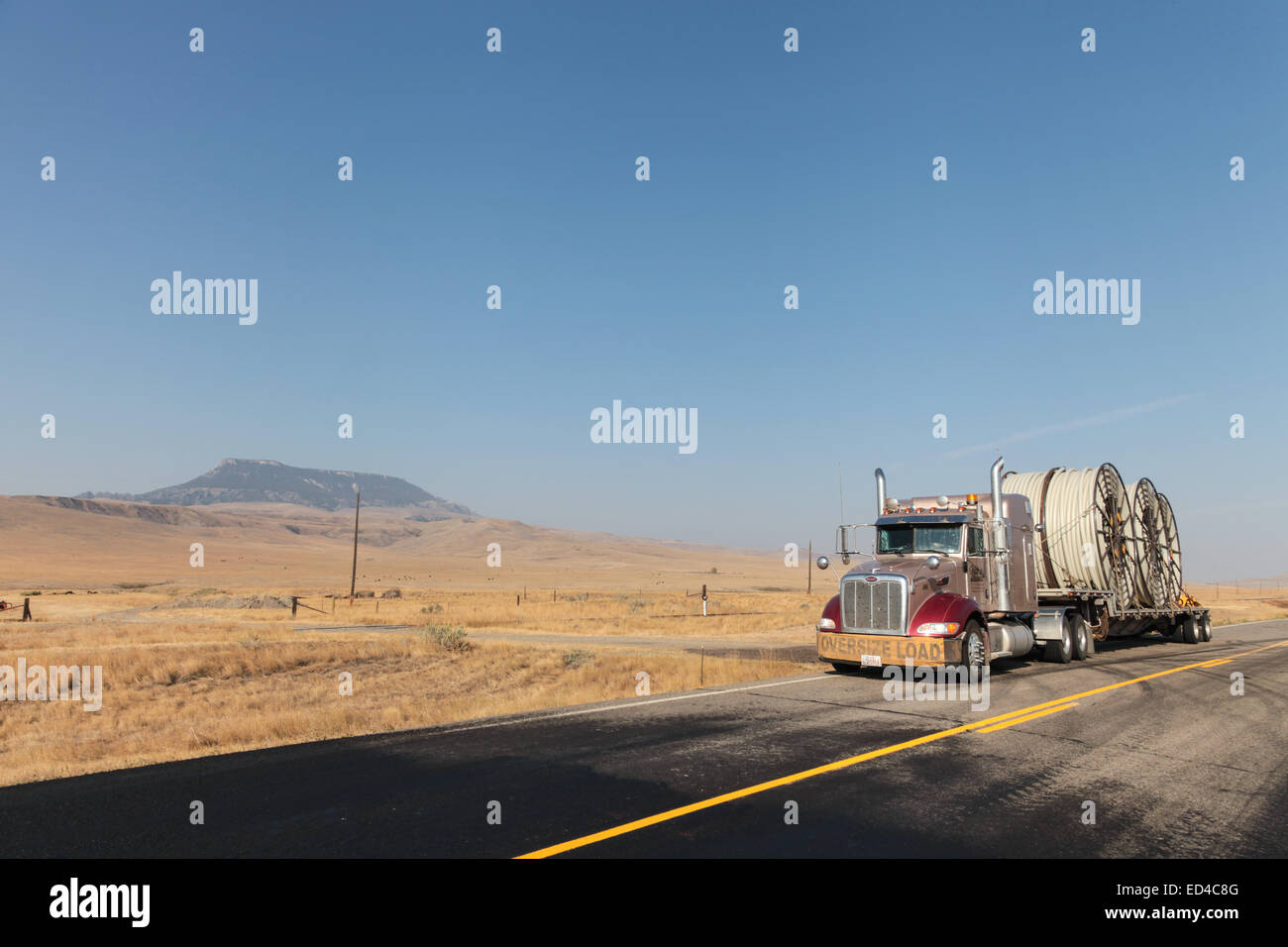 Un Américain Peterbilt 379 camion semi bobines de tuyau en plastique HDPE sur une remorque à plateau pour l'industrie pétrolière et dans les sites de fracturation USA Banque D'Images