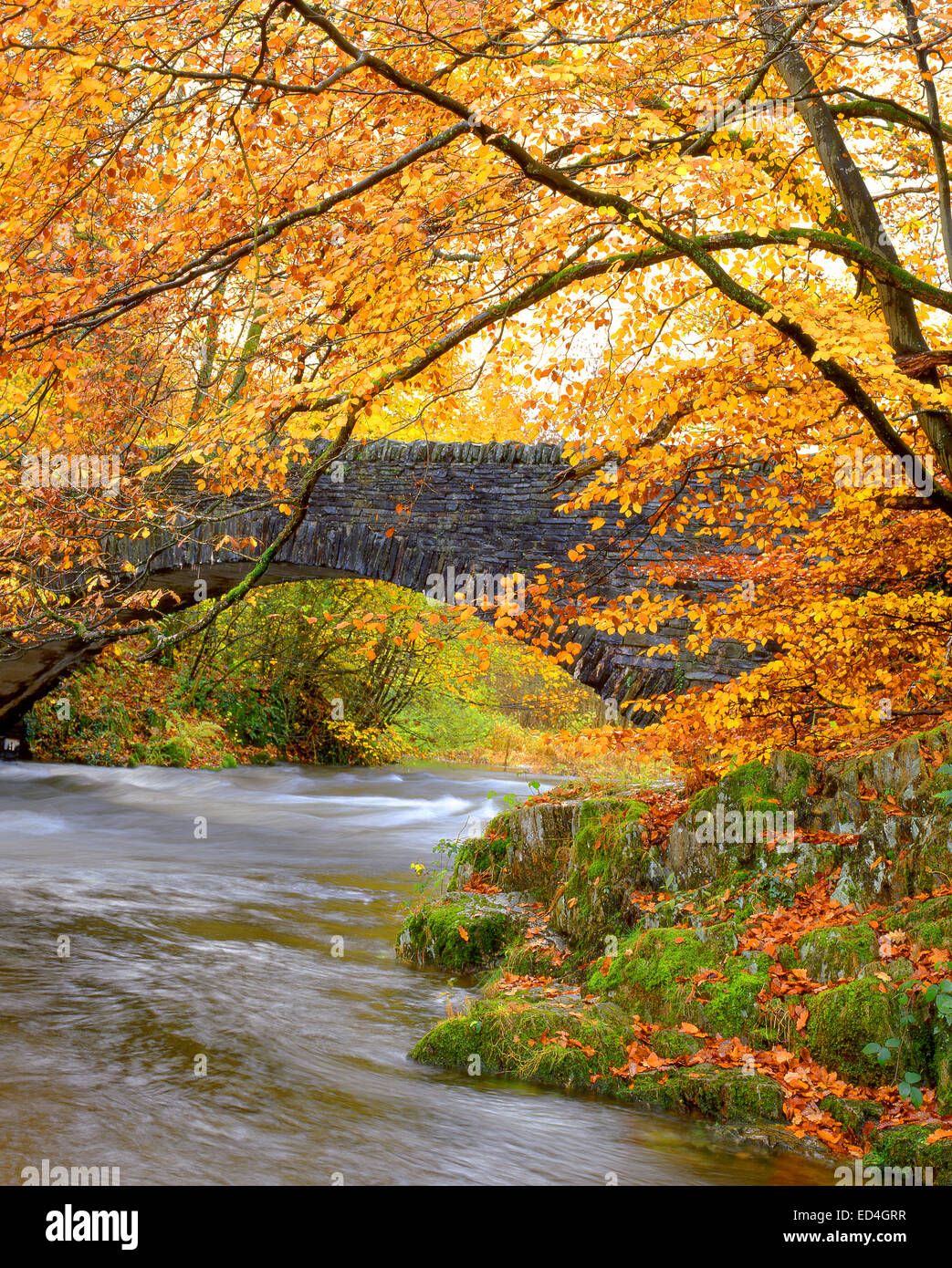 Angleterre : la rivière Brathay, Clappersgate, Cumbria Banque D'Images